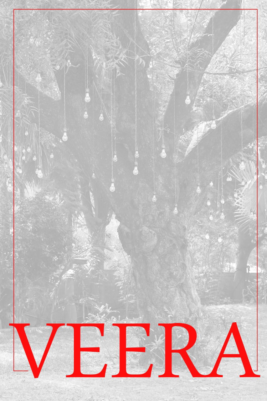 Veera Classic Ethnic Wear Designer Cotton Printed Latest Kurti Collection